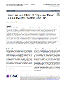 Theoretical foundations of Progressive Motor Training (PMT) for Phantom Limb Pain